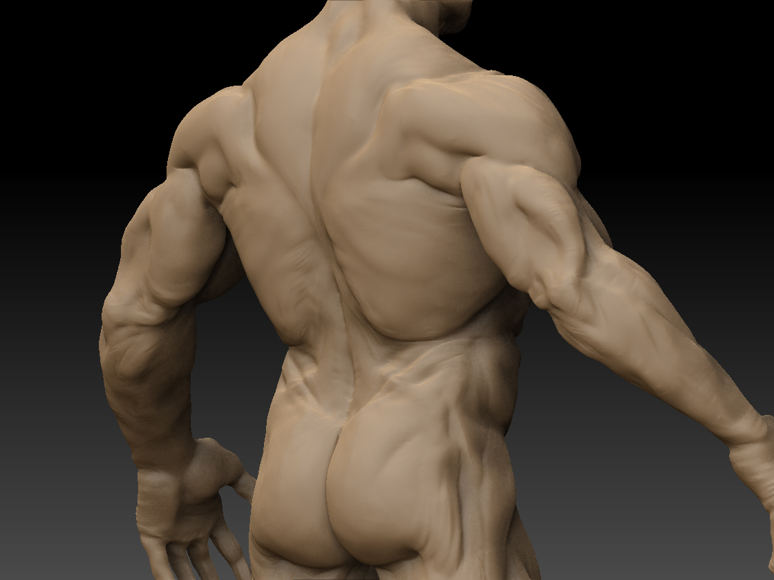 06_CloseBack.jpg