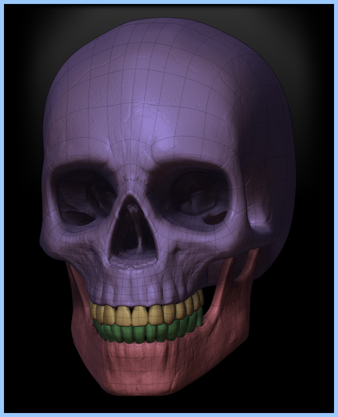 SPI_SKULL_002.jpg