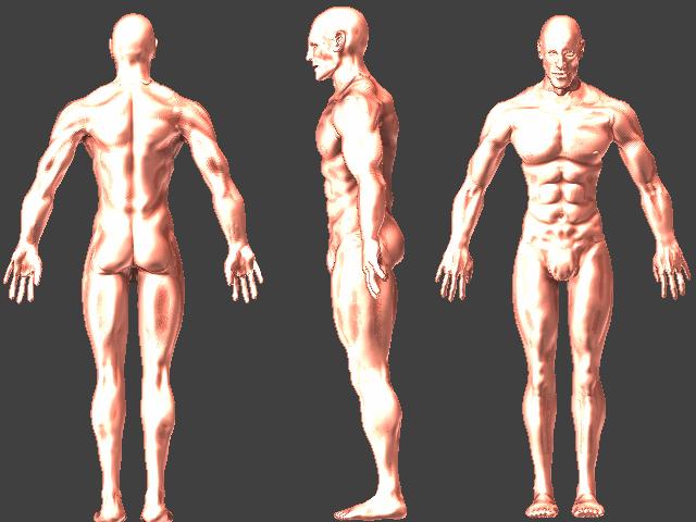body.JPG