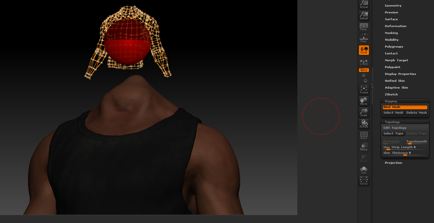 (need help) Got a issue from zsphere rigging and topology - ZBrushCentral
