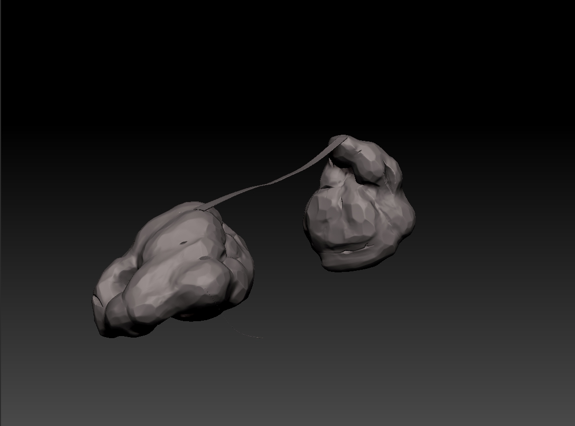 ZBrushBridge.jpg
