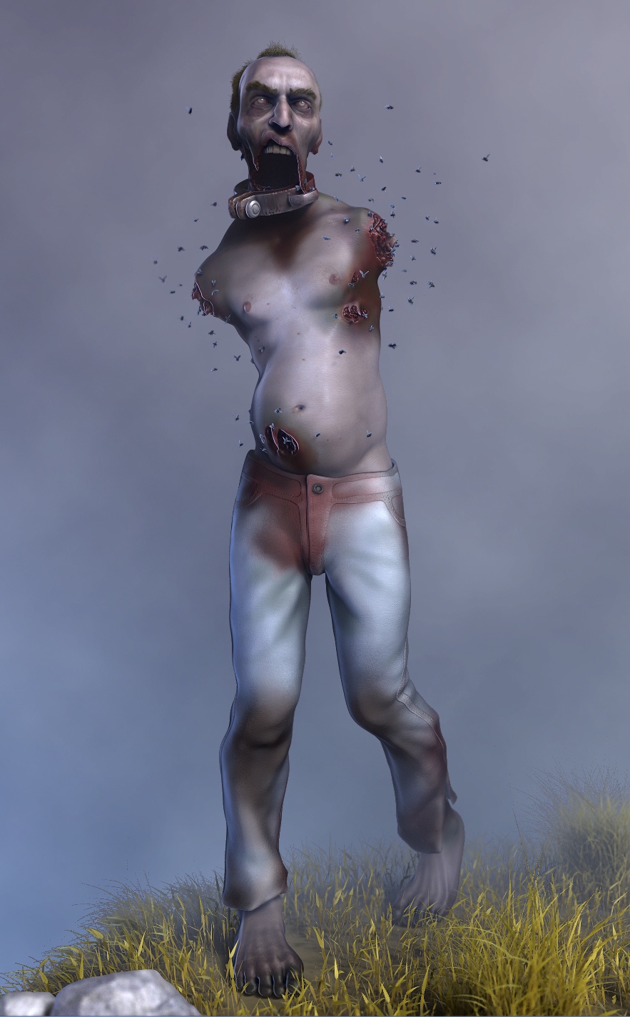 Z_azul.jpg