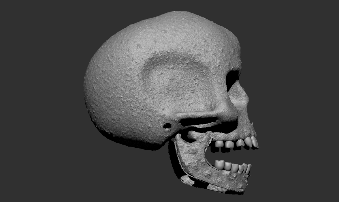 skull%20Zbrush%20side%20
