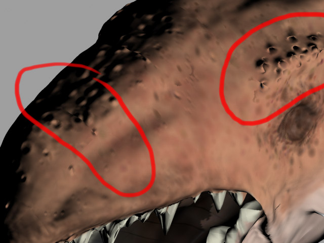 render.jpg