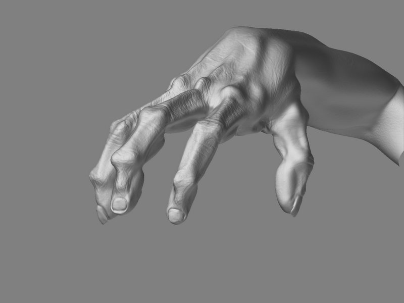 hand_displ_view04.jpg