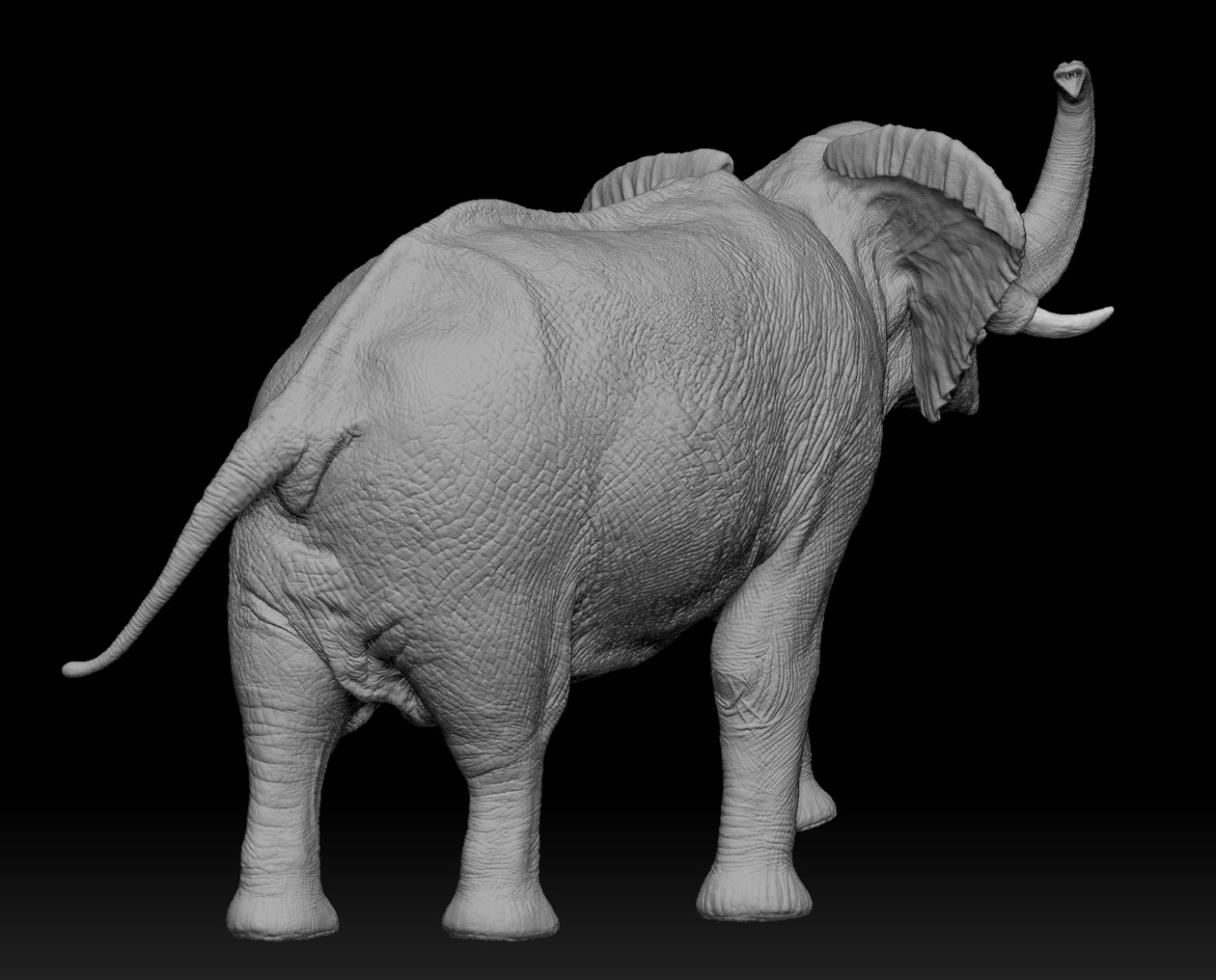 elephant_05.jpg