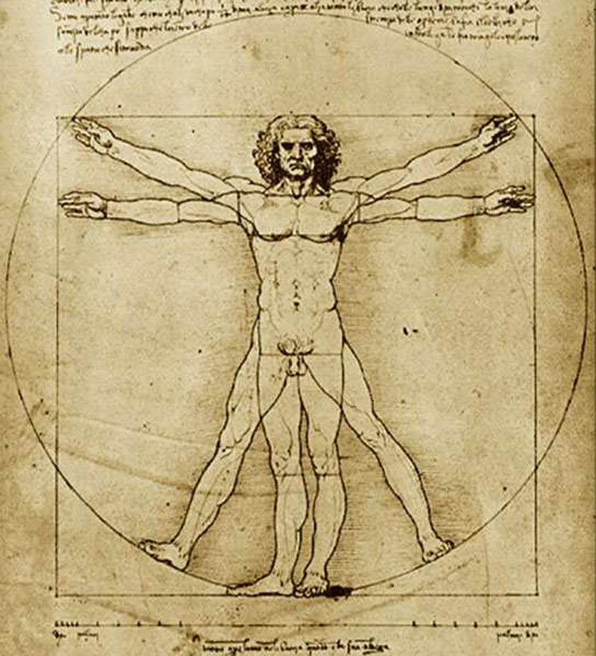 Proporcion Aurea Modelo.jpg