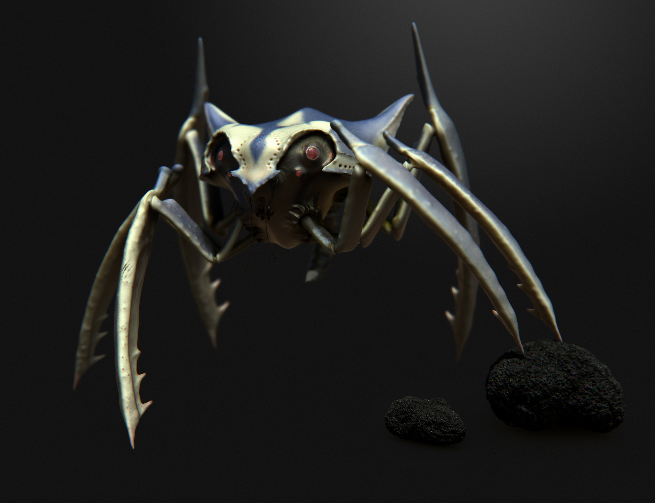 bug_comp.jpg