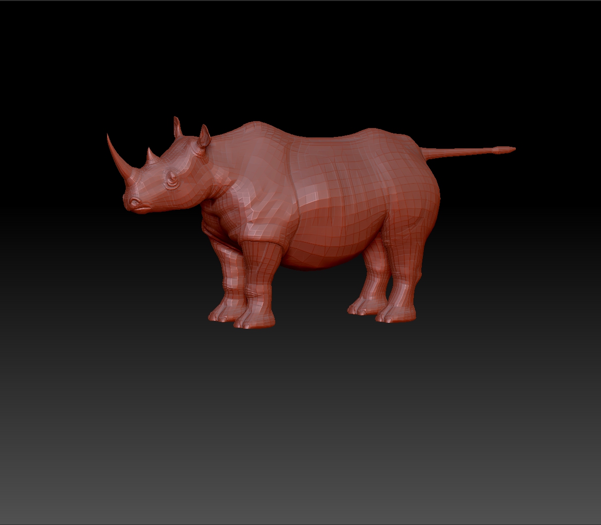 rhino00.jpg