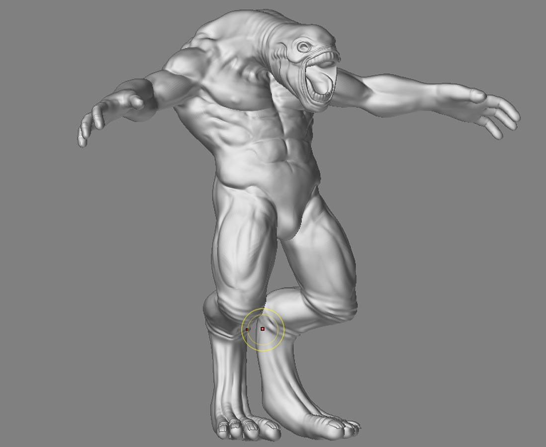 anatomyfin5.jpg