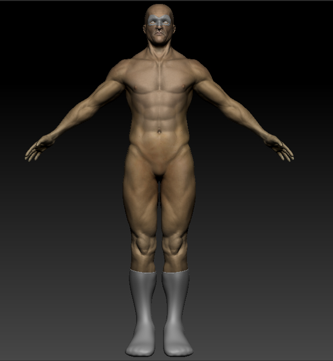 torso.jpg