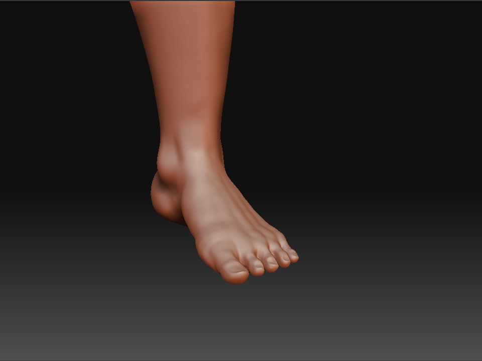 leg.JPG