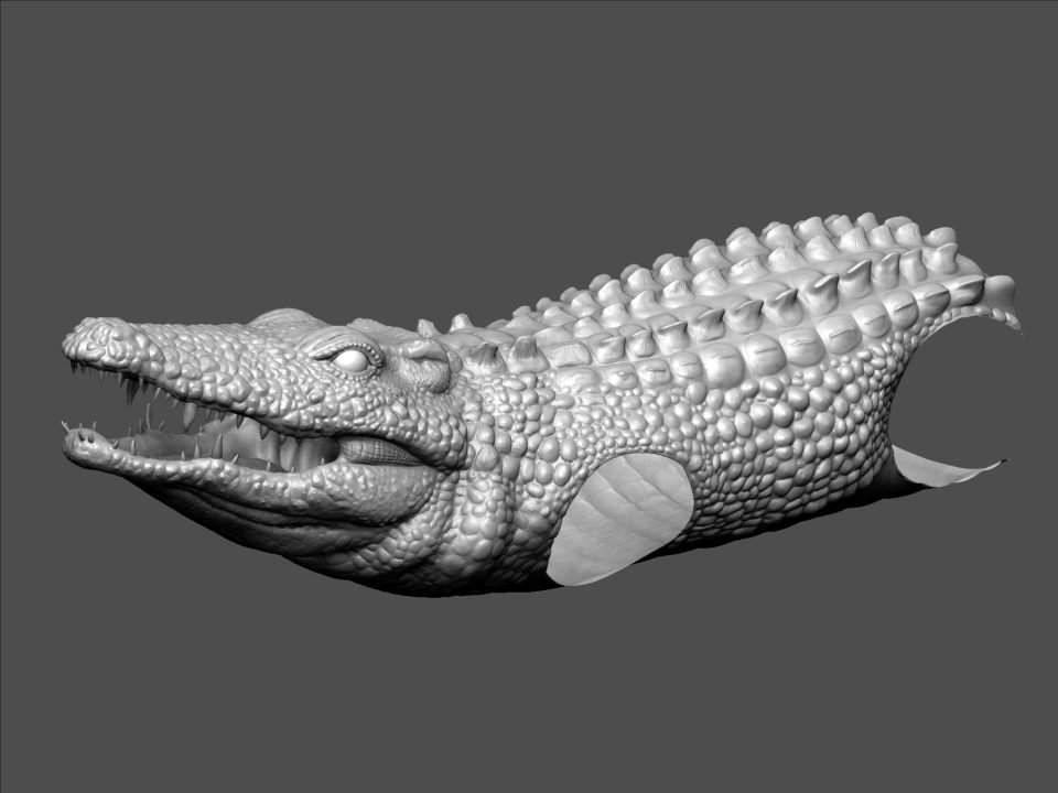 croc_wip.jpg