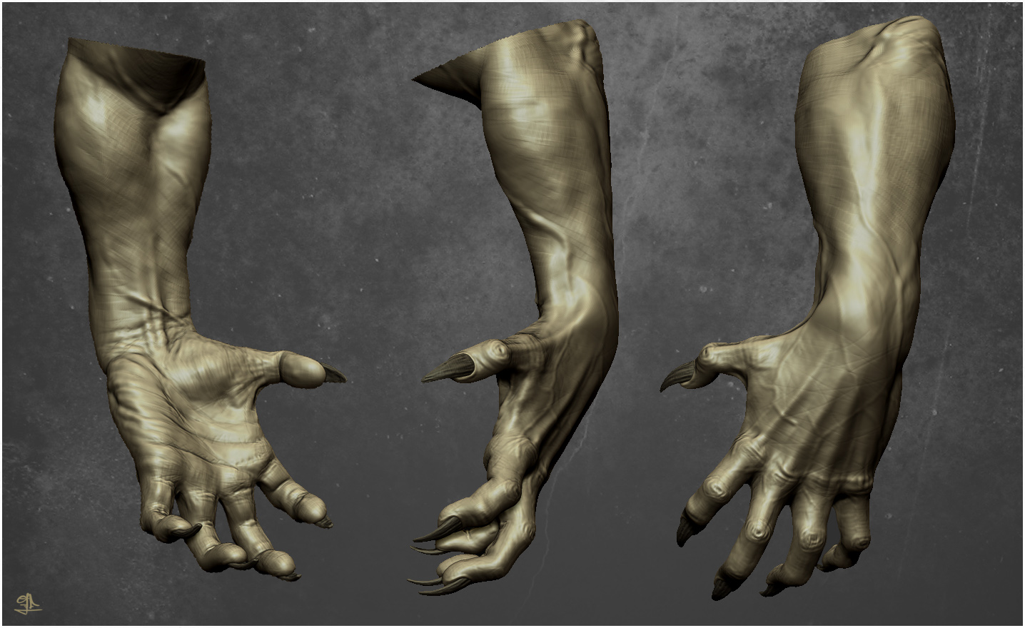 wolfAnatomy.jpg