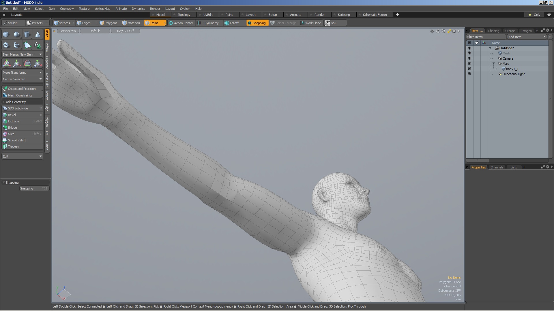 zBrush_To_Modo_Bug_Wireframe.jpg
