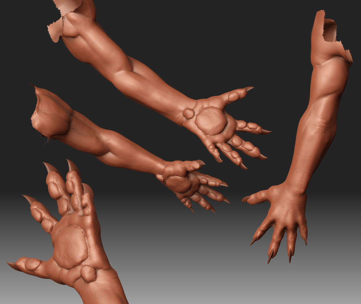 p12_hands.jpg