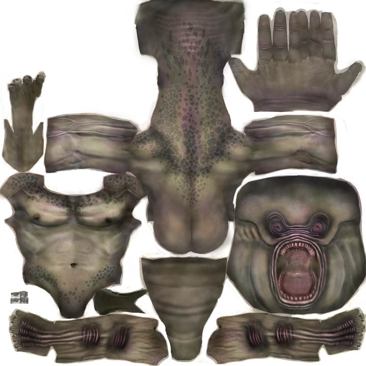 test22 copy.jpg