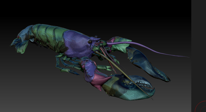 Lobster polyframe for Zforum.jpg