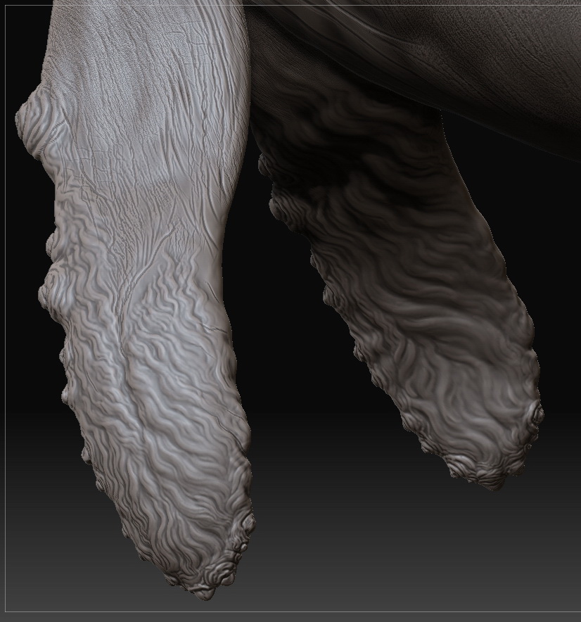 whale`side3.jpg