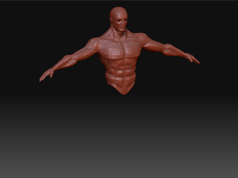 Upperbodylevel1.jpg