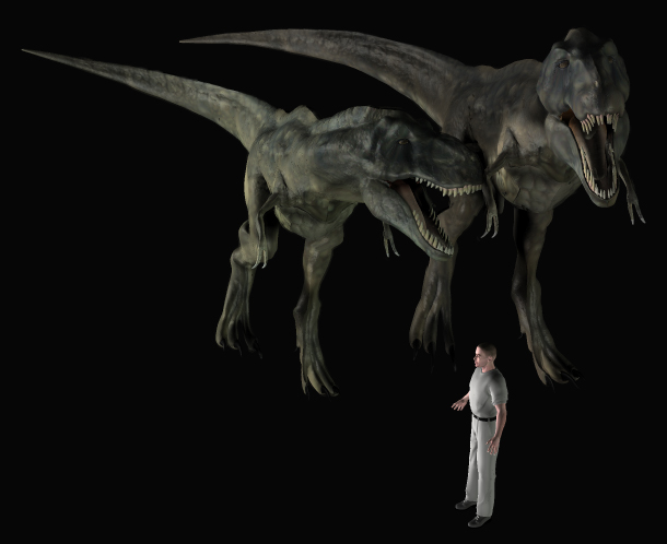 z Tarbosaurus bataar and Tyrannosaurus rex 09 .jpg
