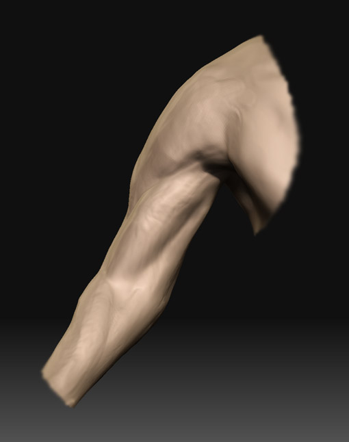 arm_front_1.jpg