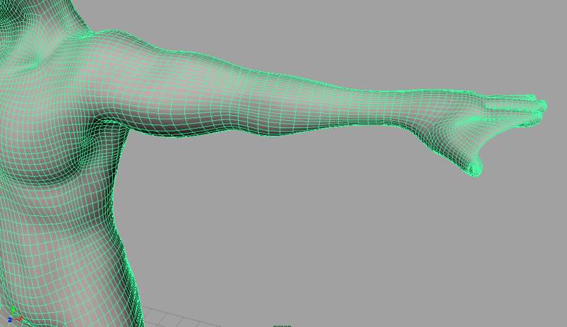 armWires.JPG