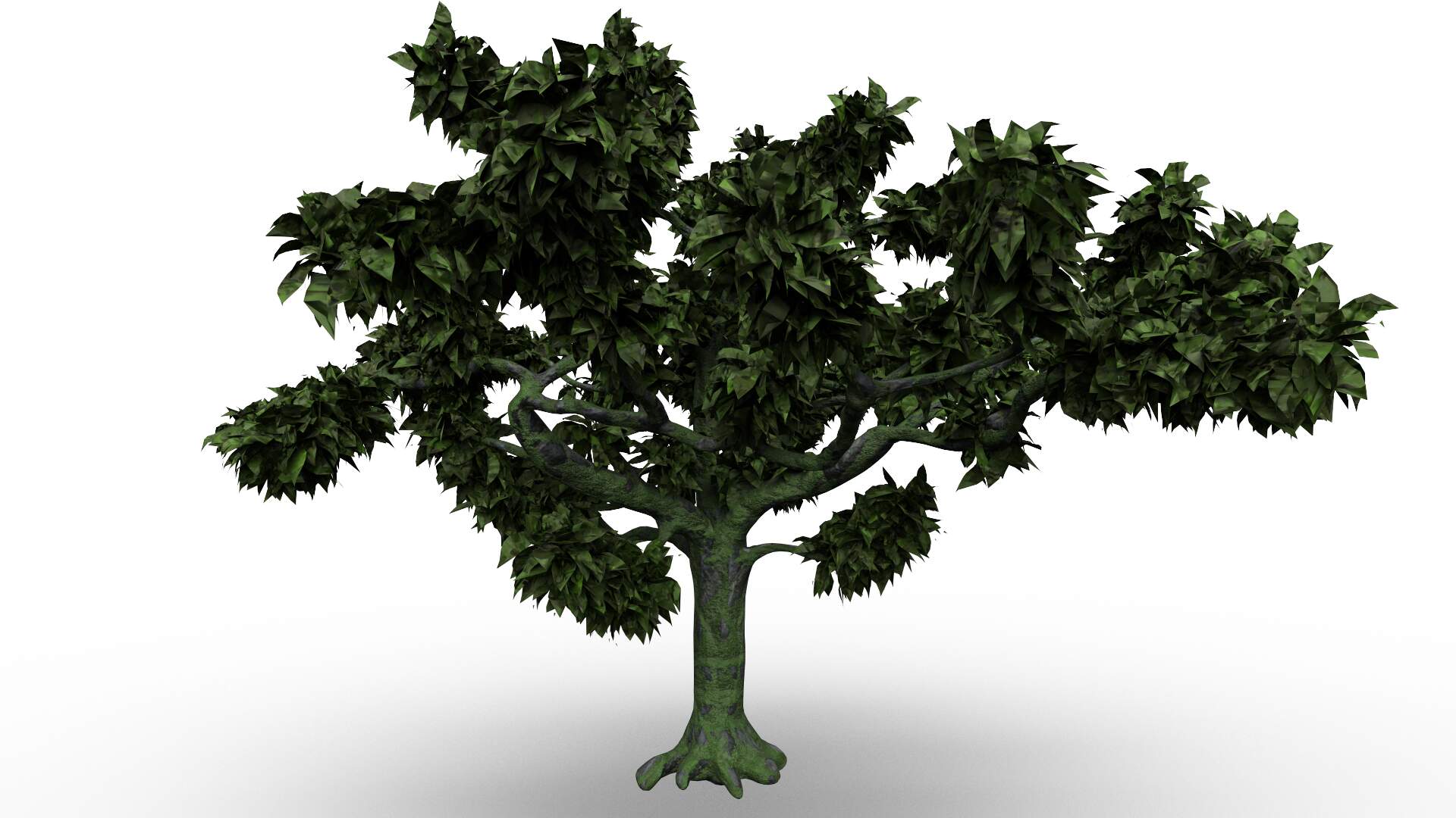 tree