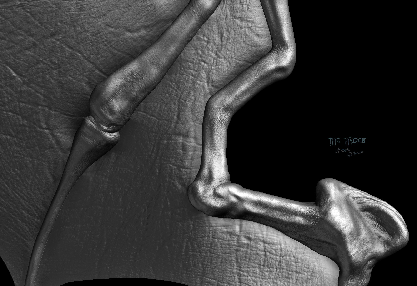 wing-detail_Render-2.jpg