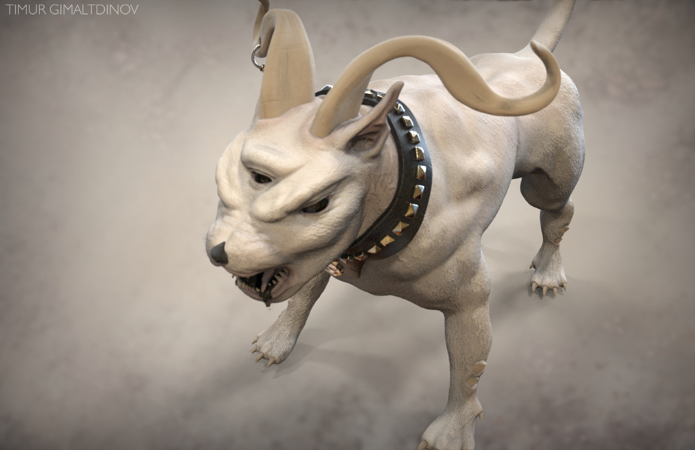 Cerberus-Вьюсет 19.62.jpg