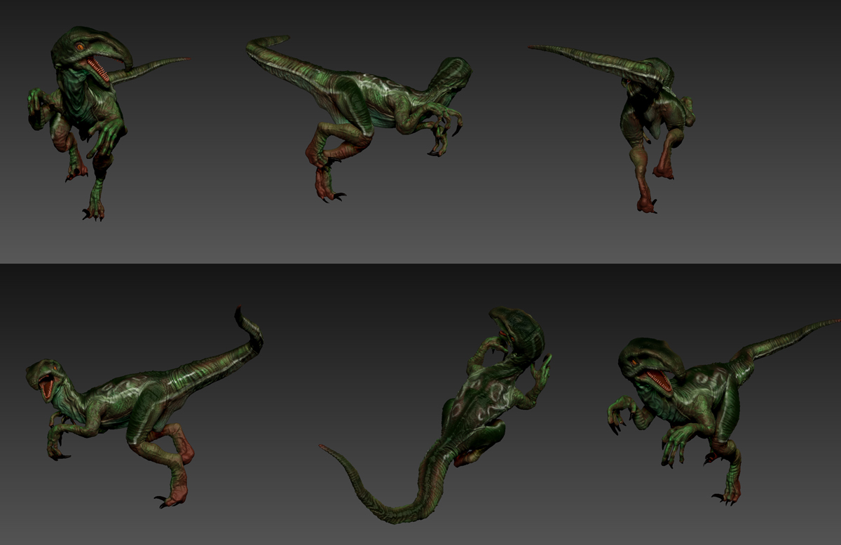 raptor-strip.jpg