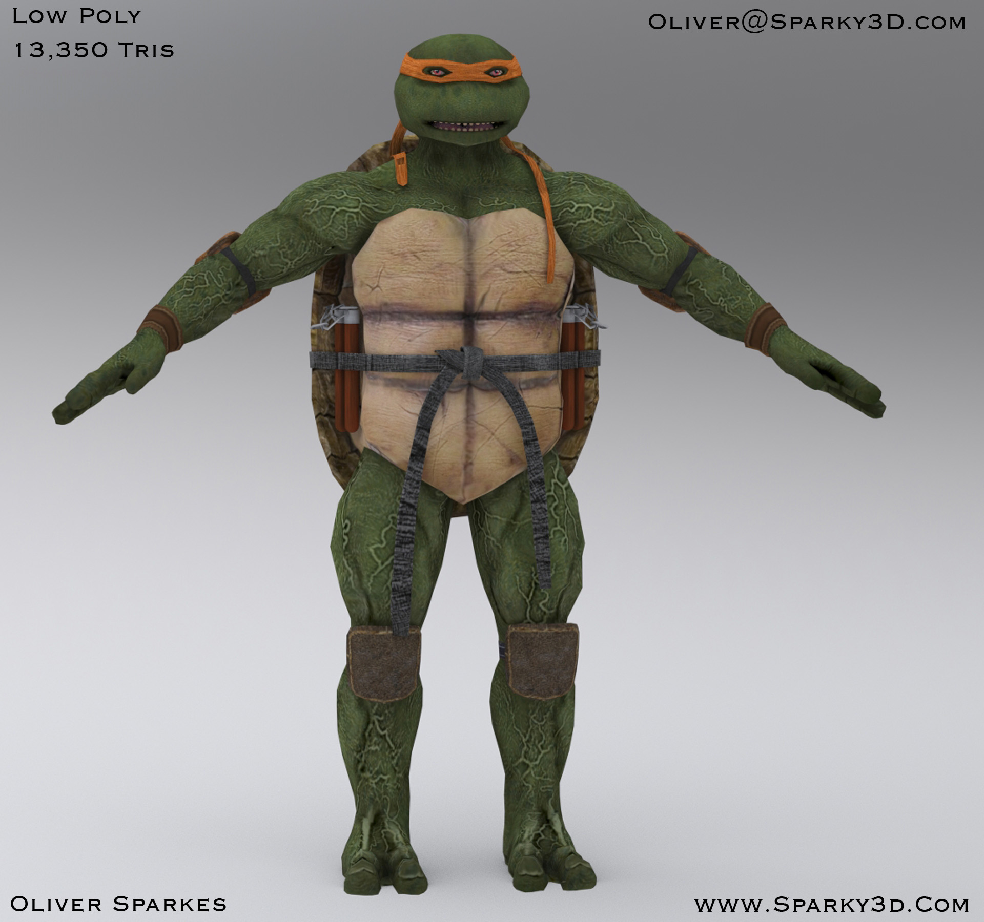 beauty_shot_turtle_low_poly.jpg