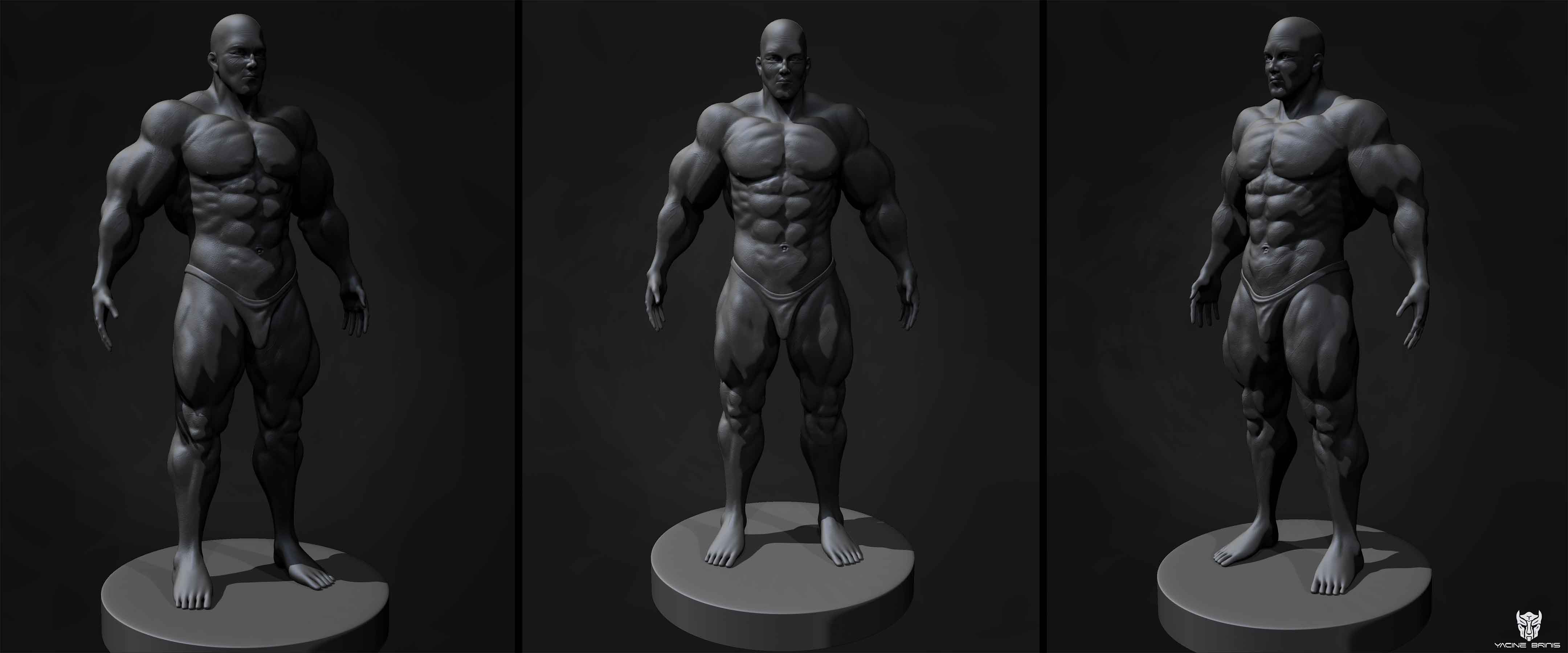 Renders High Poly Anatomy By Yacine BRINIS 3D Model View 02.jpg