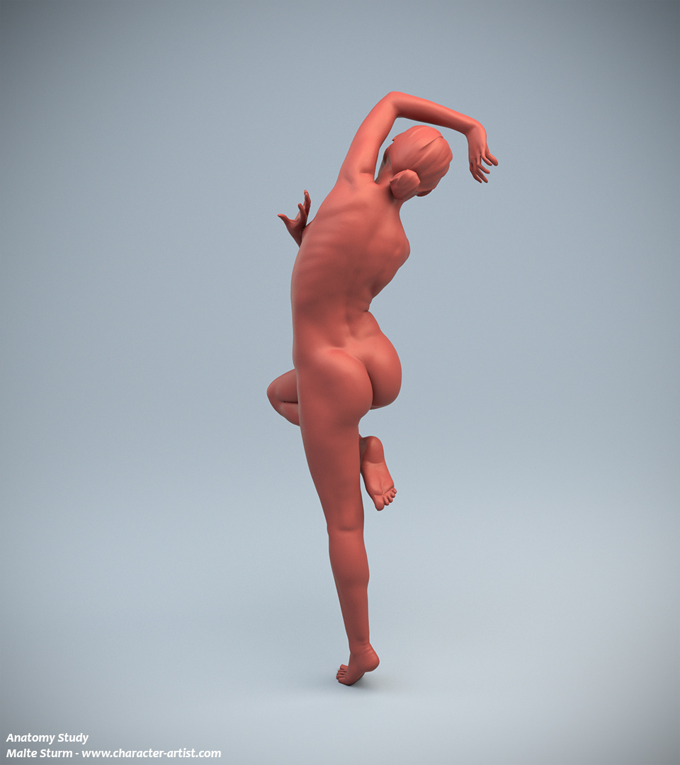 03_female_anatomy