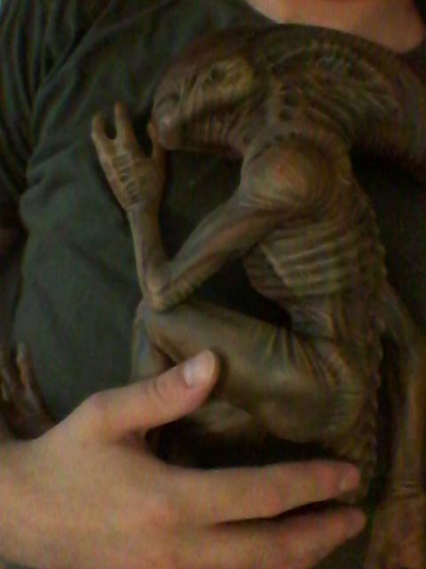 20140720_232257.jpg
