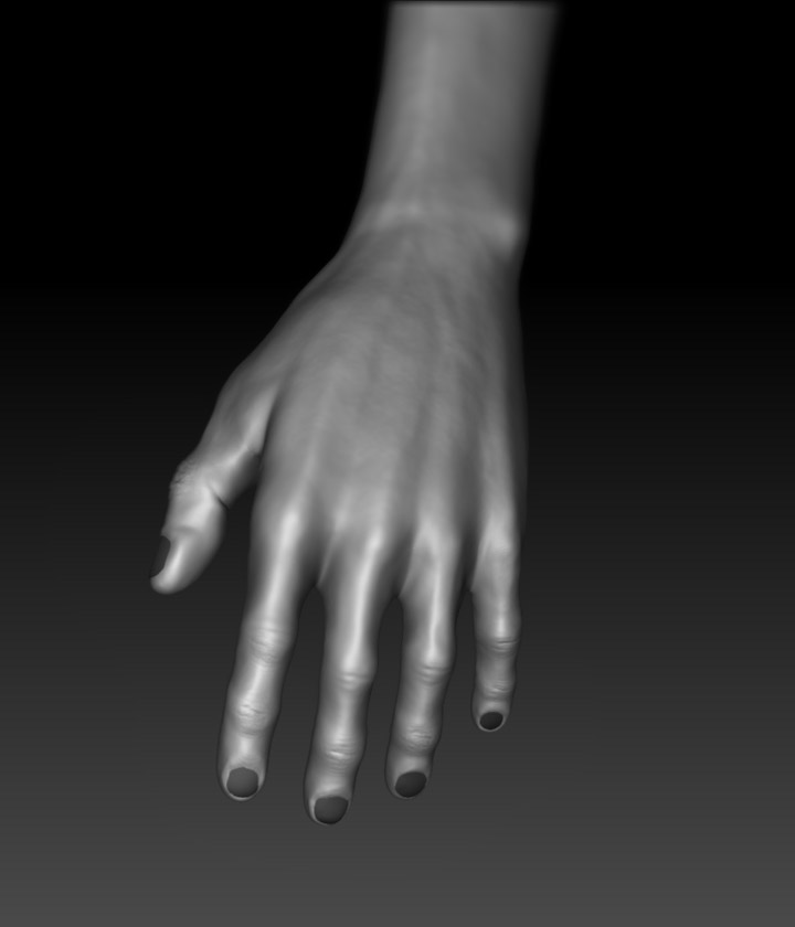 Hand_front.jpg