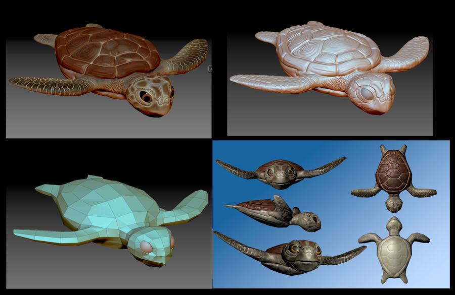 turtle1.jpg