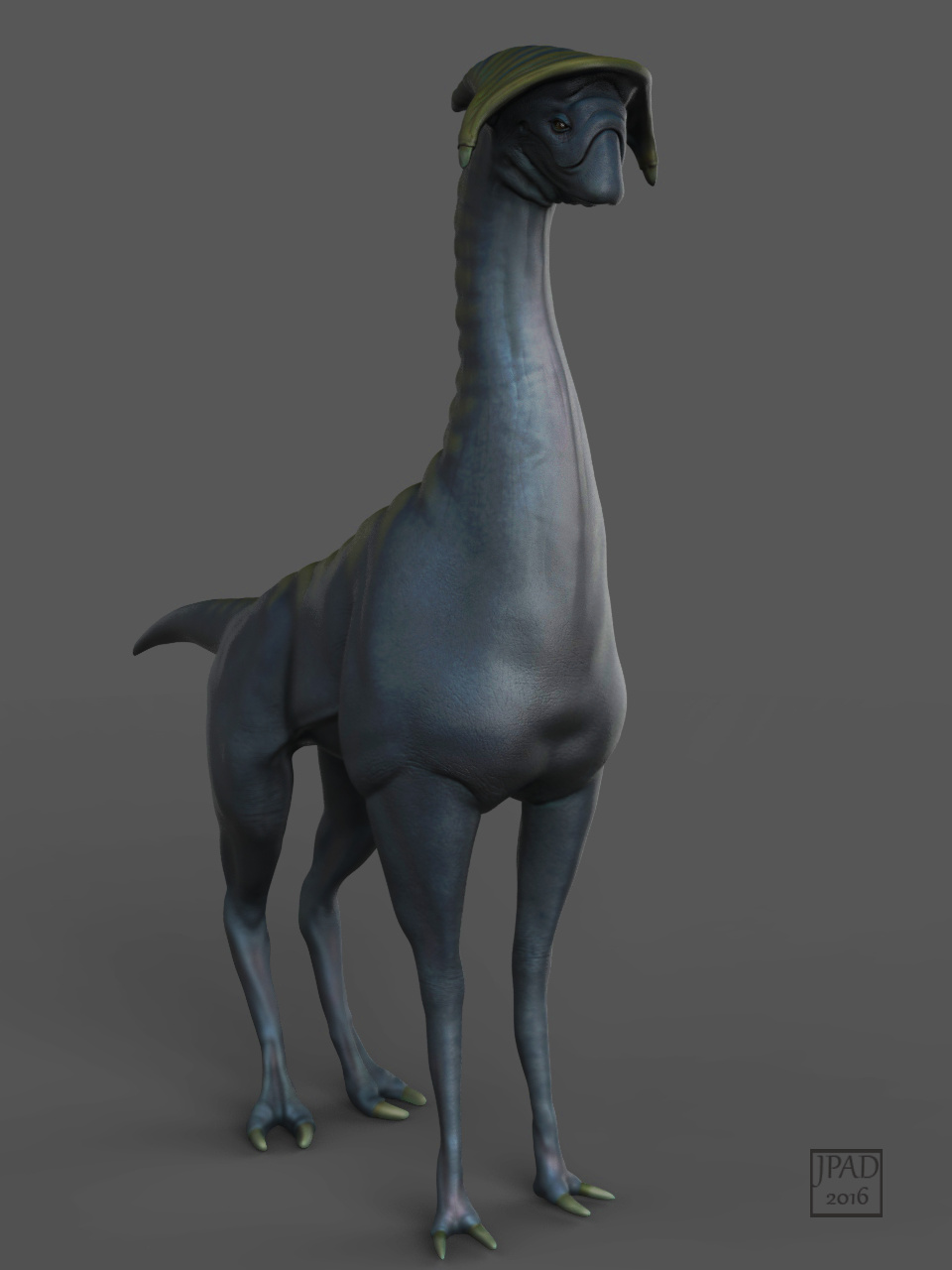 Carmina_JPad_2016_Final_Render.jpg