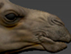 camel_zbcentral_THUMB.jpg