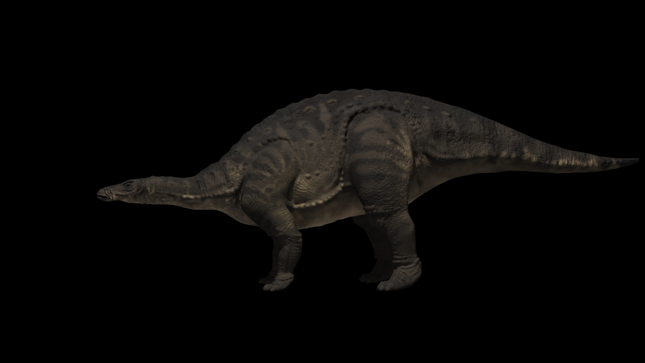 stego_standard.jpg