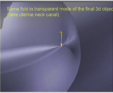 neck.jpg