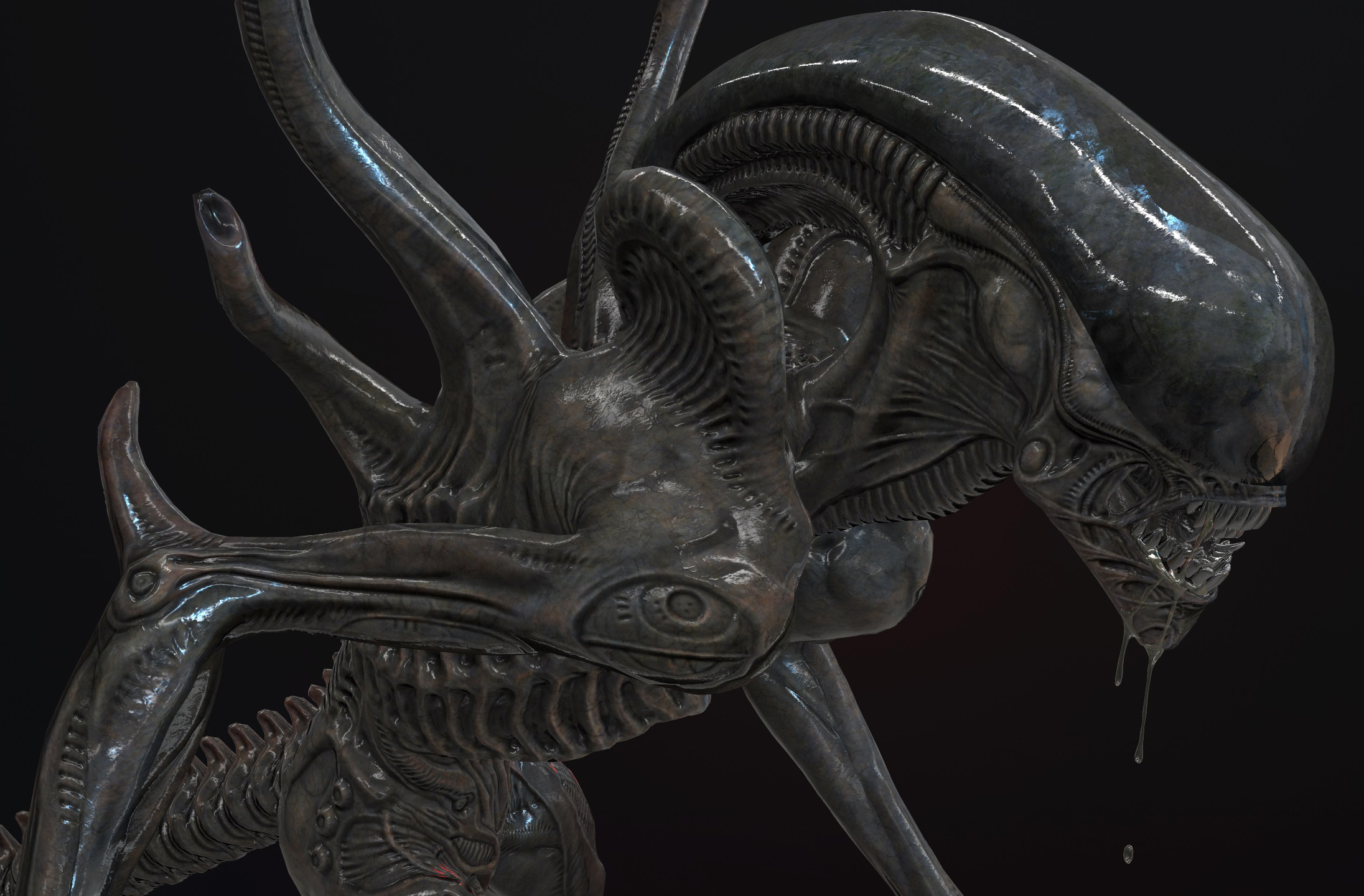 screenshot007.jpg