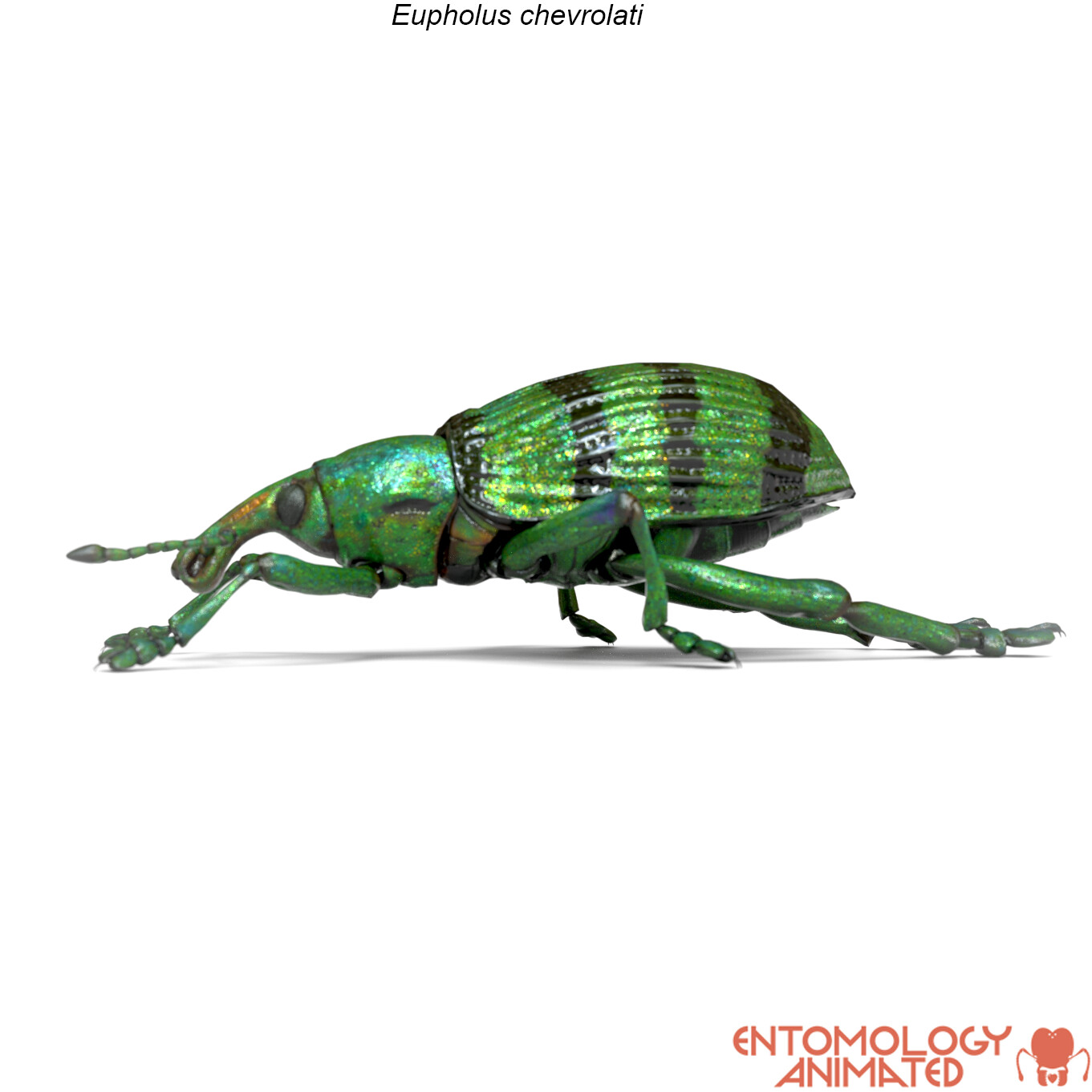 eric-keller-e-chevrolati-render-02