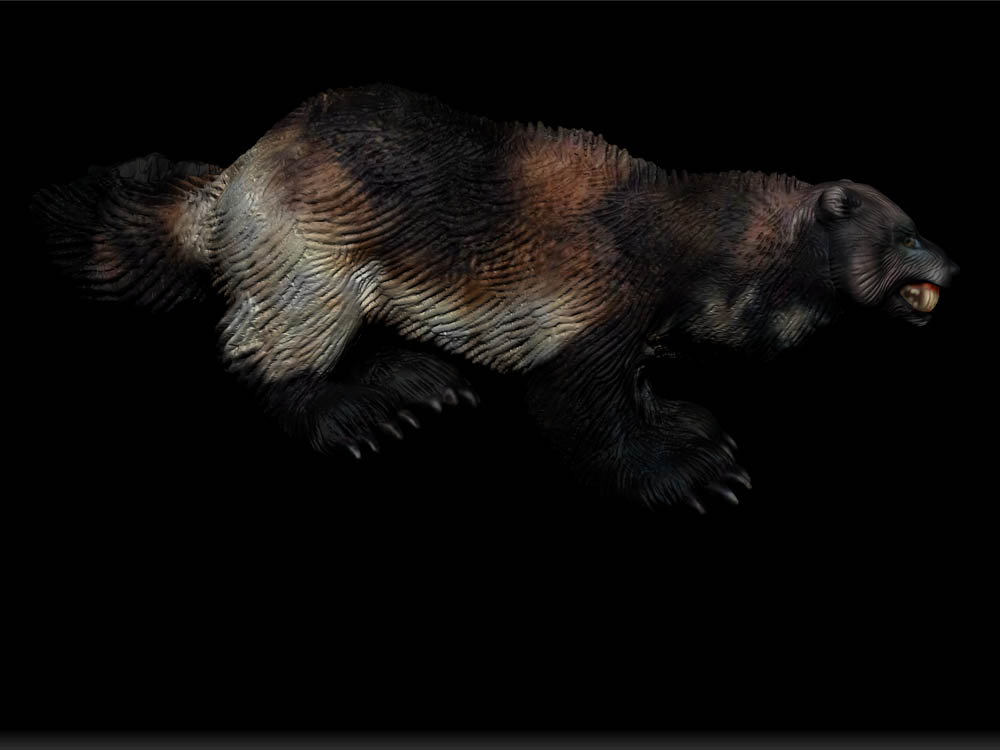 WOLVERINE 13.jpg