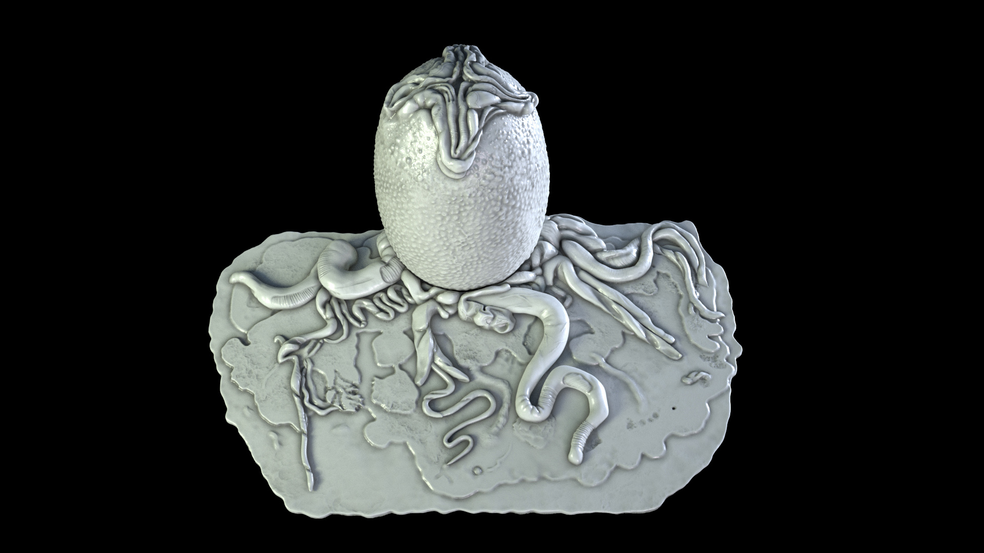 Grey_Surface_sl_001.jpg