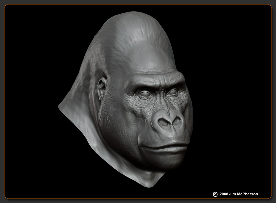 Gorilla.jpg