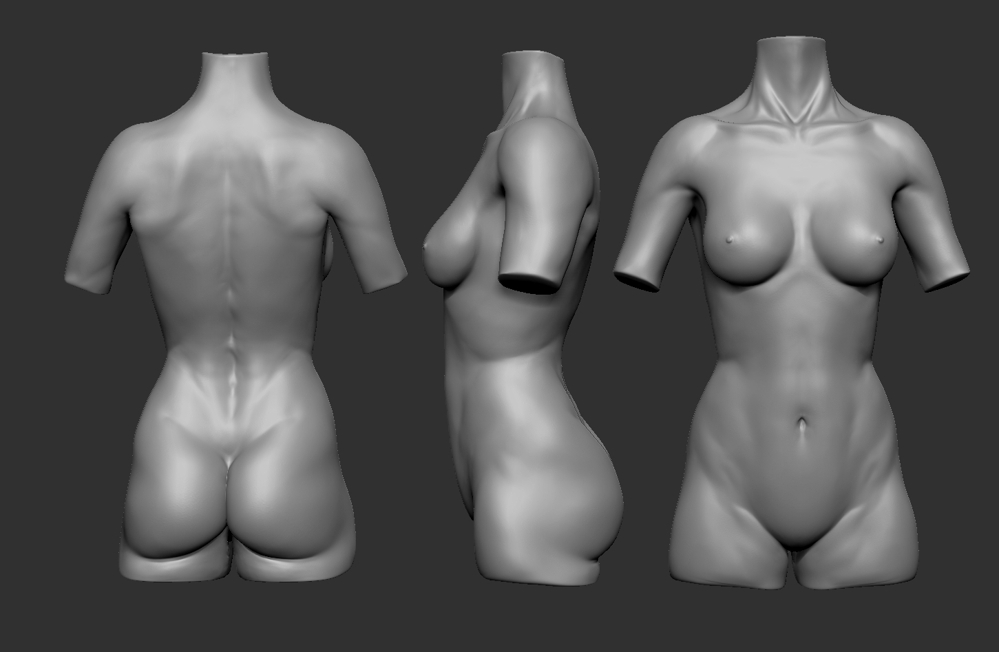 femaletorso1.jpg