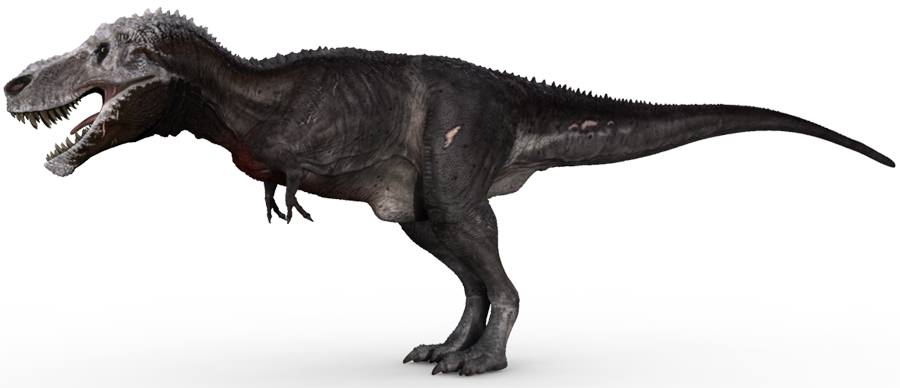 stumpy3.jpg
