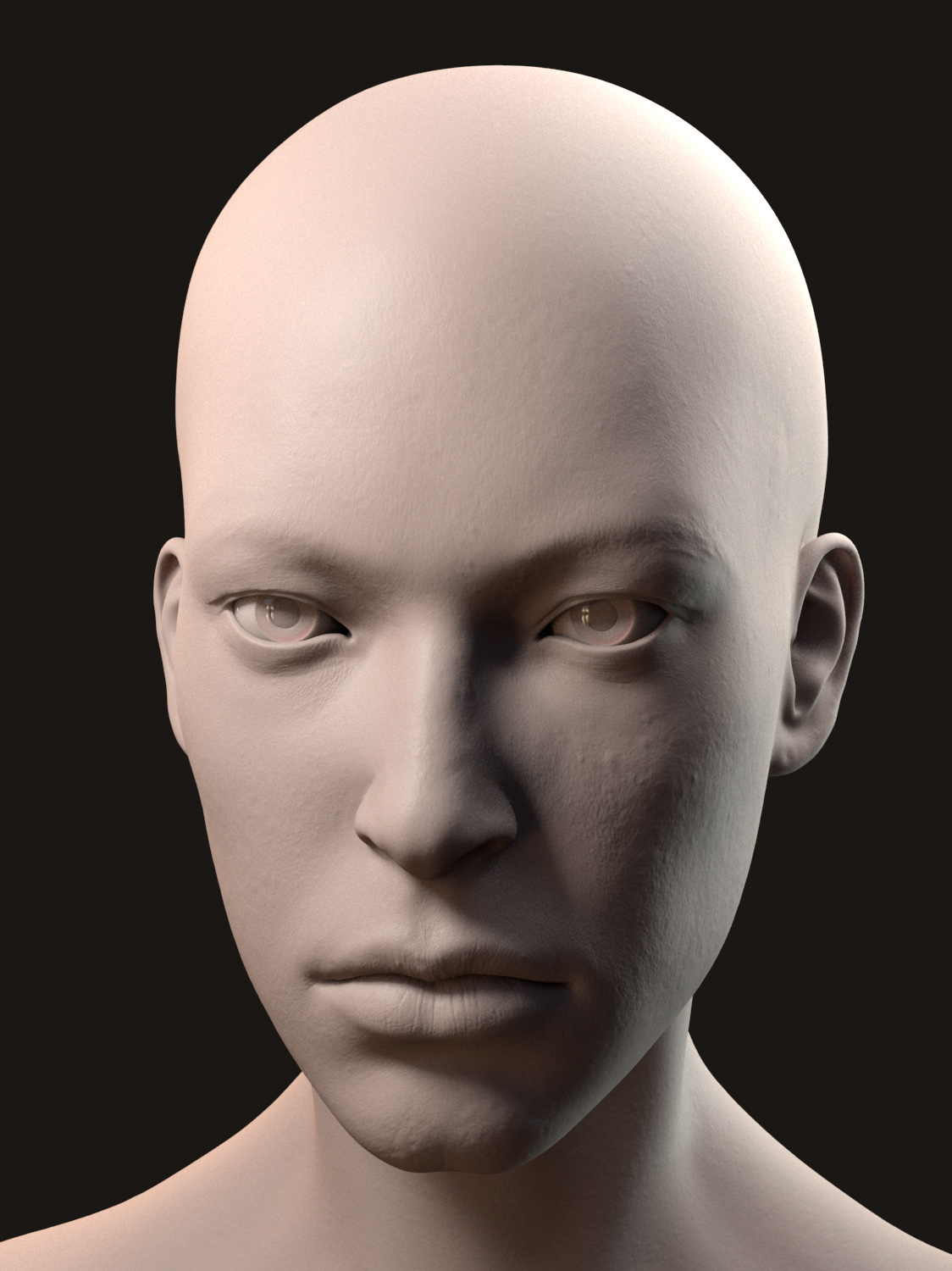 FaceRenderAdj_03.jpg