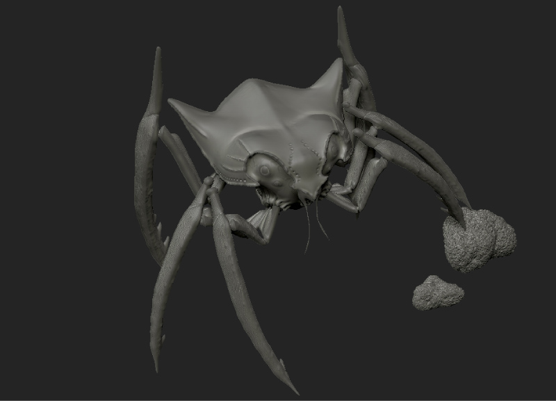 bug_top.jpg